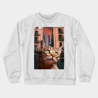 Street Cat Crewneck Sweatshirt